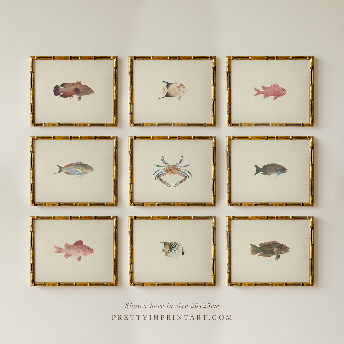 Nine fish in gold bamboo frames