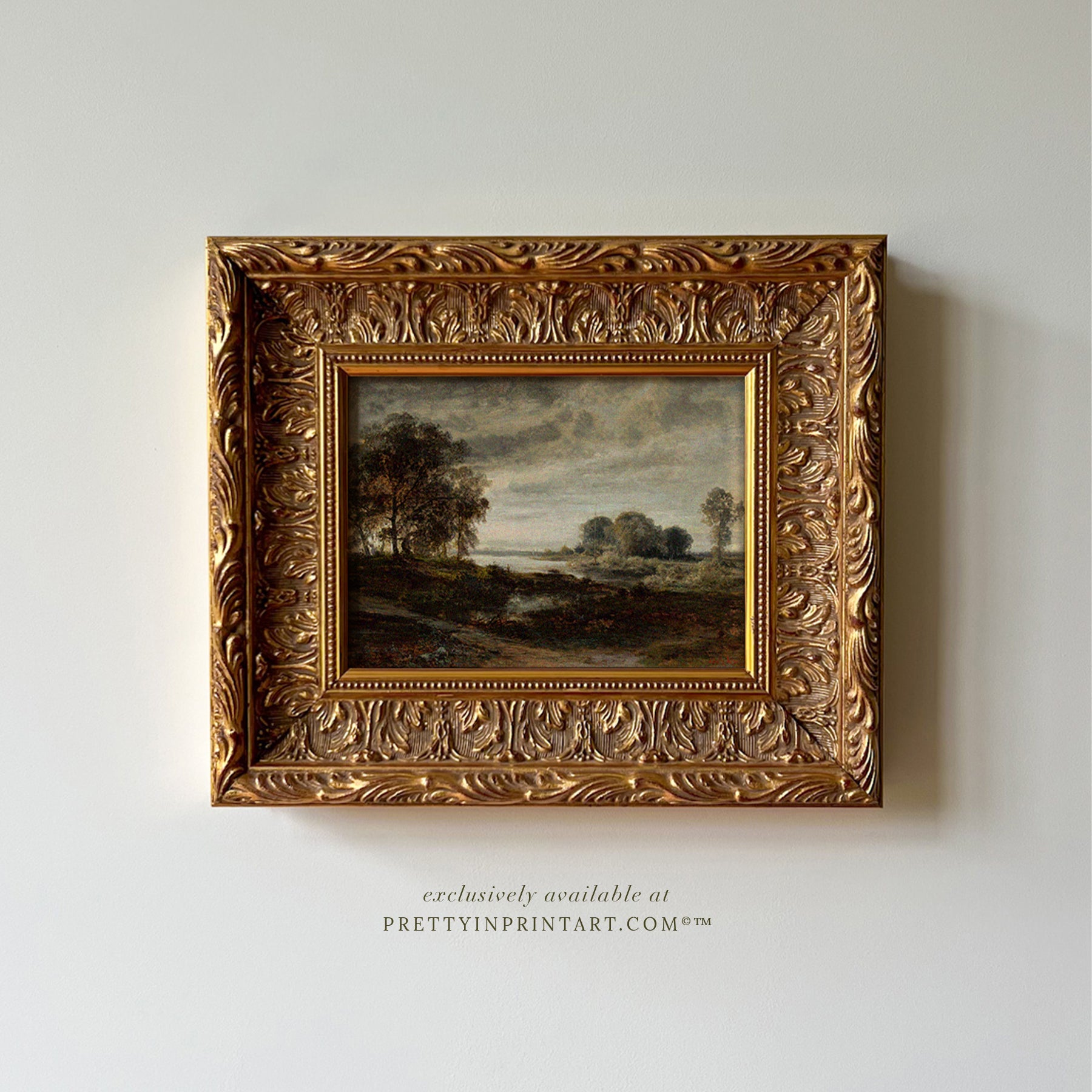 Gold ornate picture frame for traditional, vintage, and classic interiors
