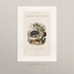 Animal Nursery Art, 00689 | Unframed