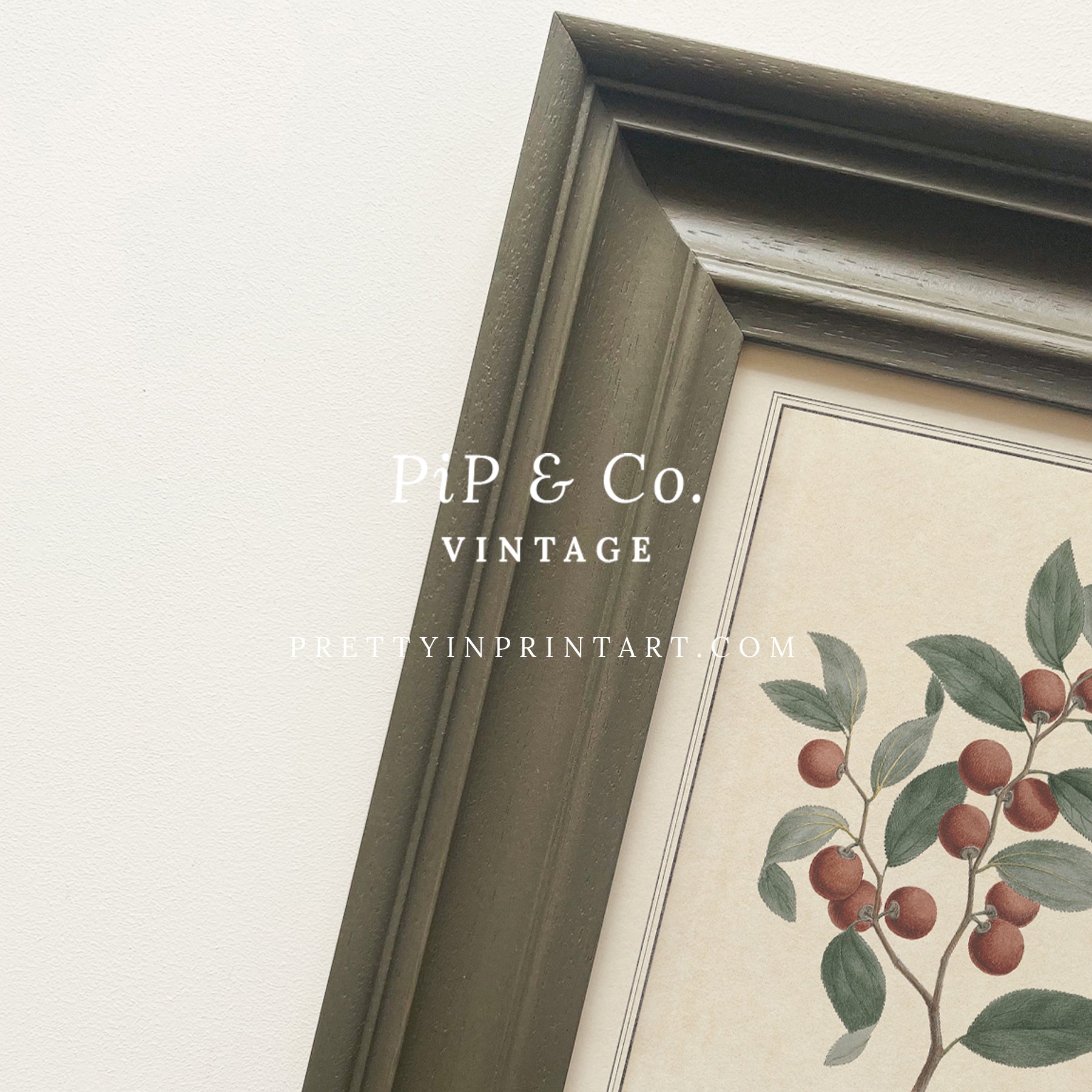 Framed vintage botanical art prints for home decor, Vintage plant wall art with traditional picture frame, Ready-to-hang vintage botanical artwork, Framed floral prints for cottagecore interiors