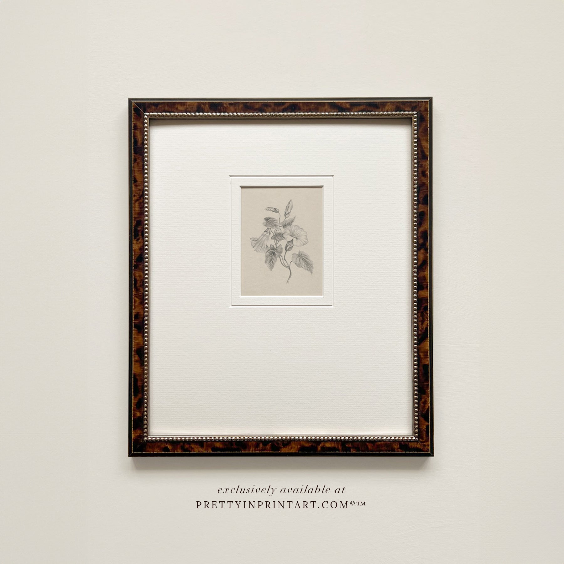 Flower pencil drawing, Floral still life vintage art, Vintage still life art, Framed vintage still life art, Classic picture frame, Vintage-style frame, Framed wall art vintage