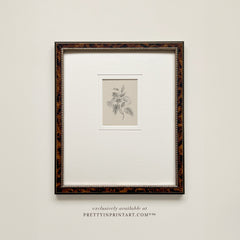 Vintage Flower Art 001 | Frame & Mount