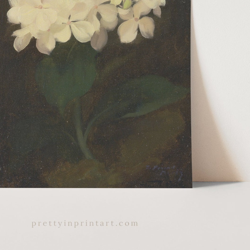 White Hydrangea Flower, 00847 |  Unframed
