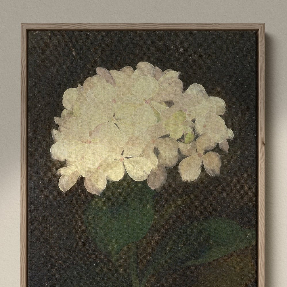 White Hydrangea Flower, 00847 | Framed Canvas