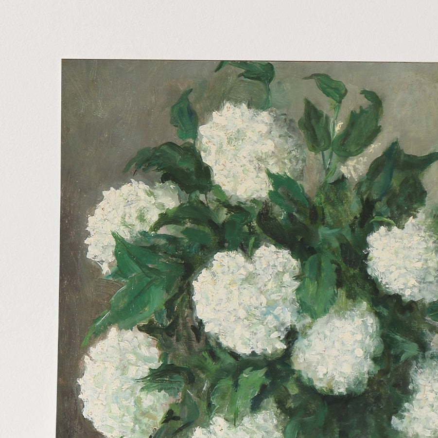 White Hydrangeas, 00848 |  Unframed