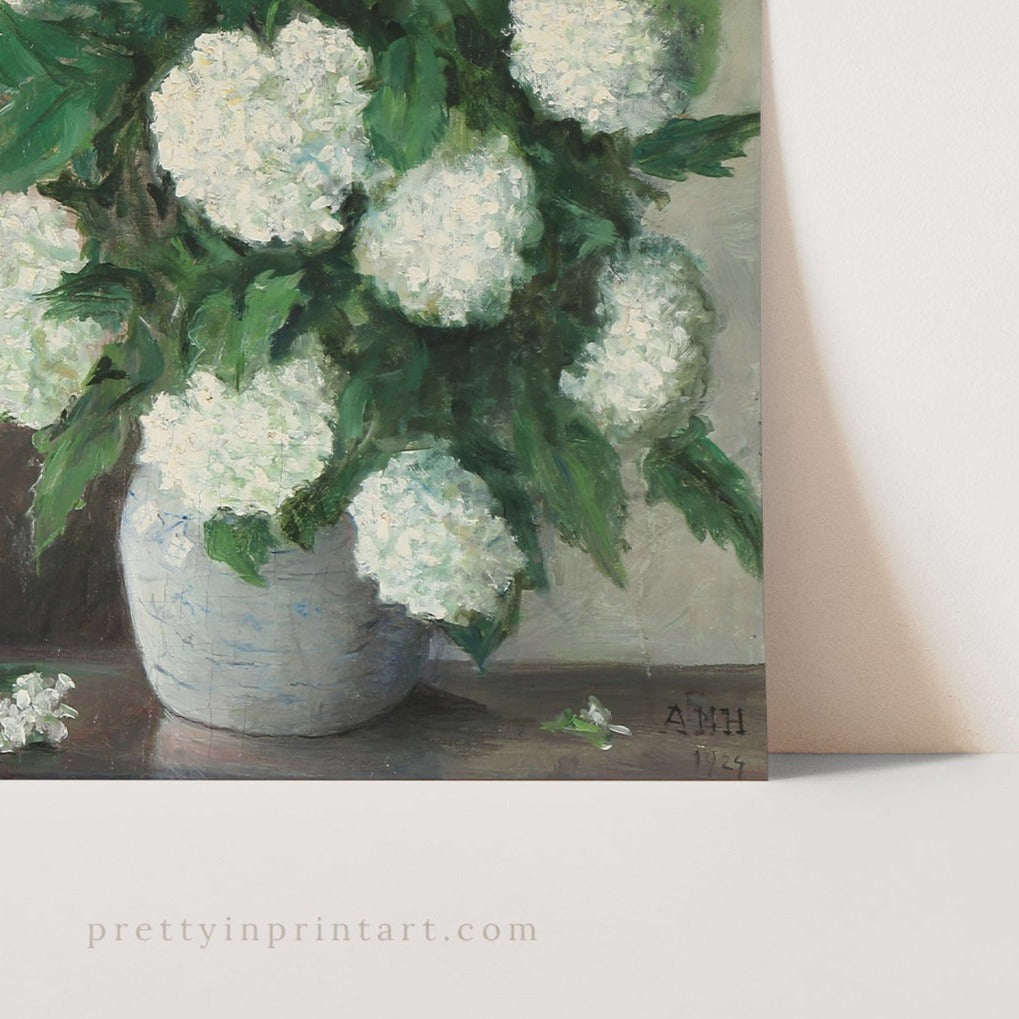 White Hydrangeas, 00848 |  Unframed