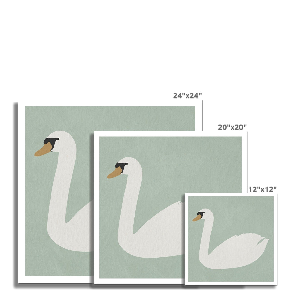 Swan Art - Terecas Green | Unframed