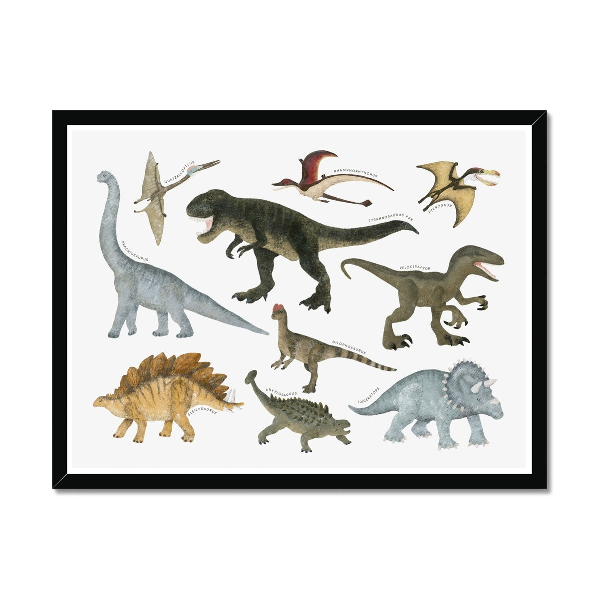 Dinosaur Educational Chart | Framed Print
