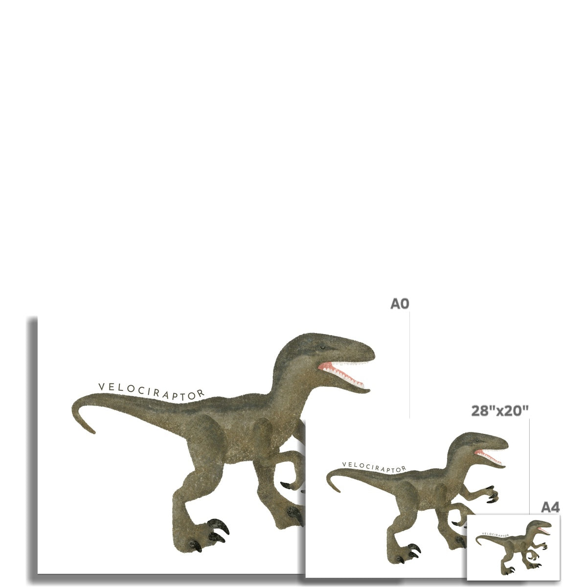 Dinosaur Art - Velociraptor | Unframed