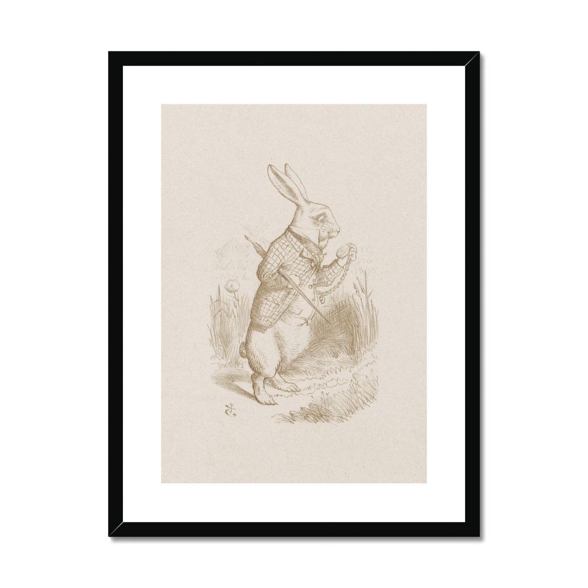 Alice's Adventures in Wonderland | Framed & Mounted Print
