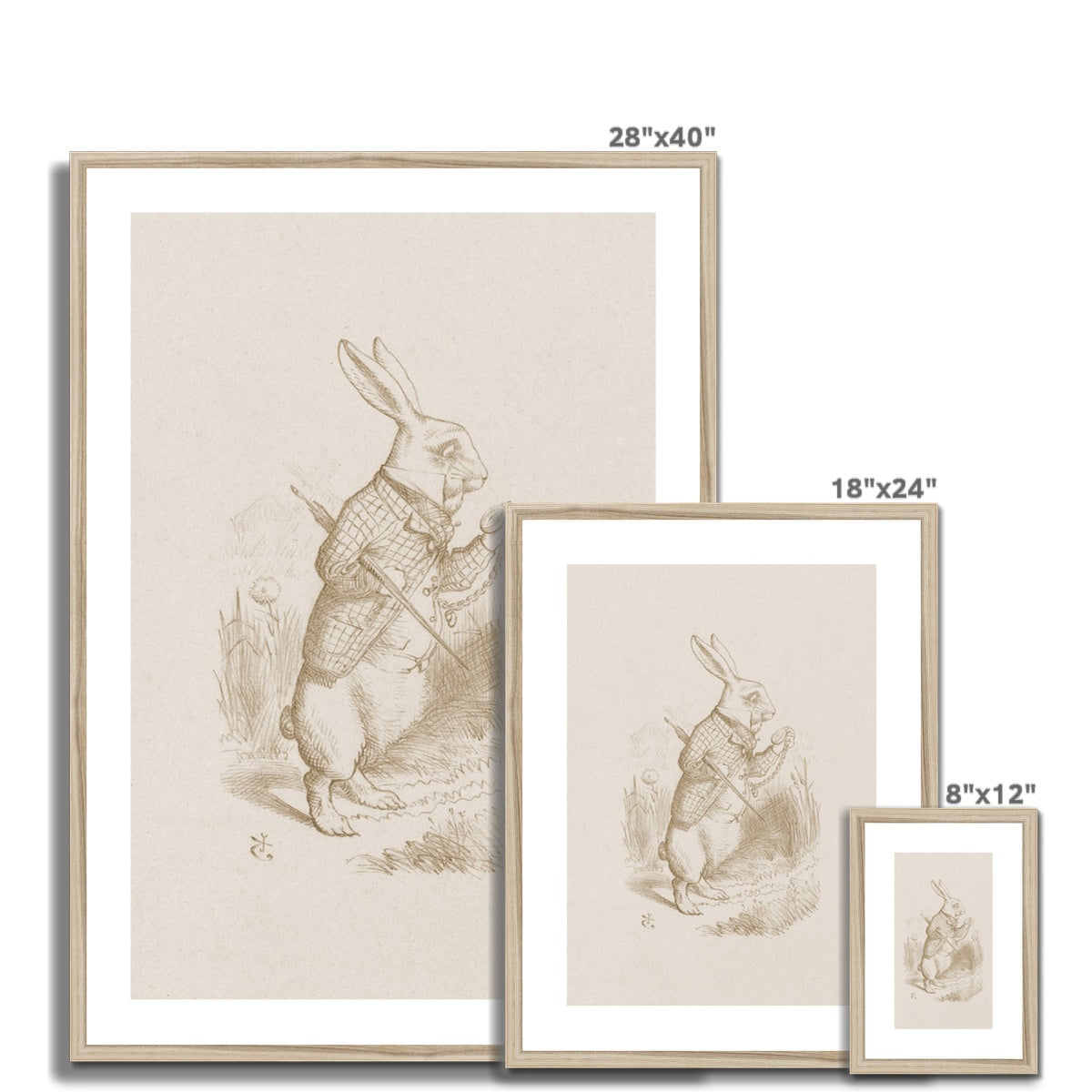 Alice's Adventures in Wonderland | Framed & Mounted Print