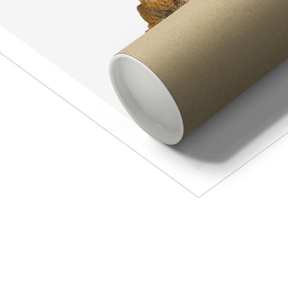 Dinosaur Educational Chart | Unframed