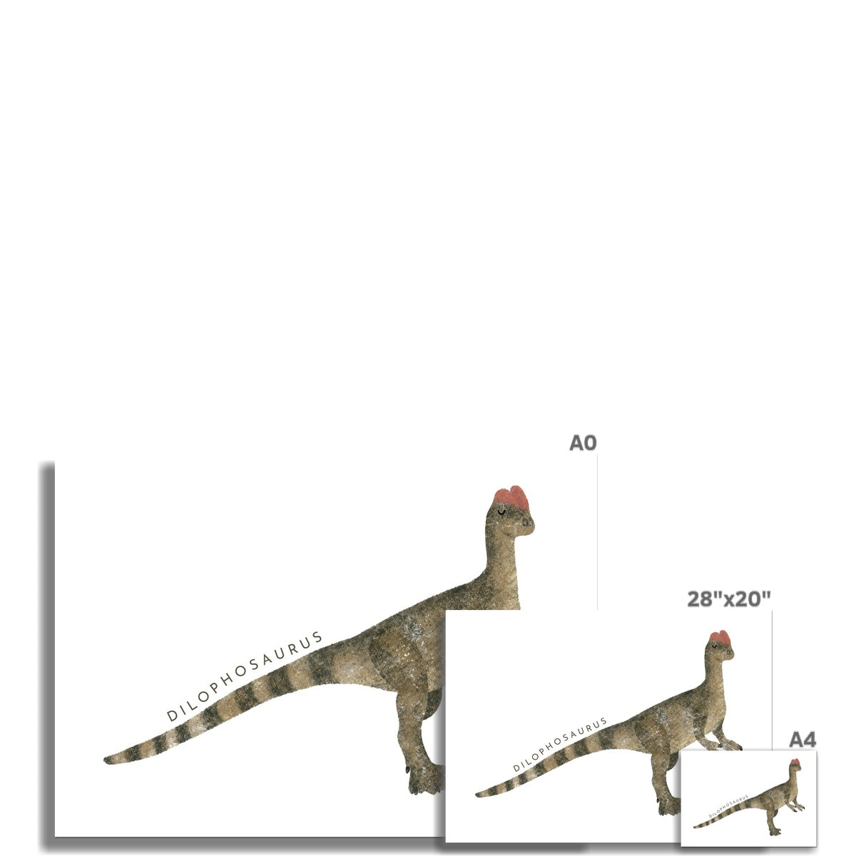 Dinosaur Art - Dilophosaurus | Unframed