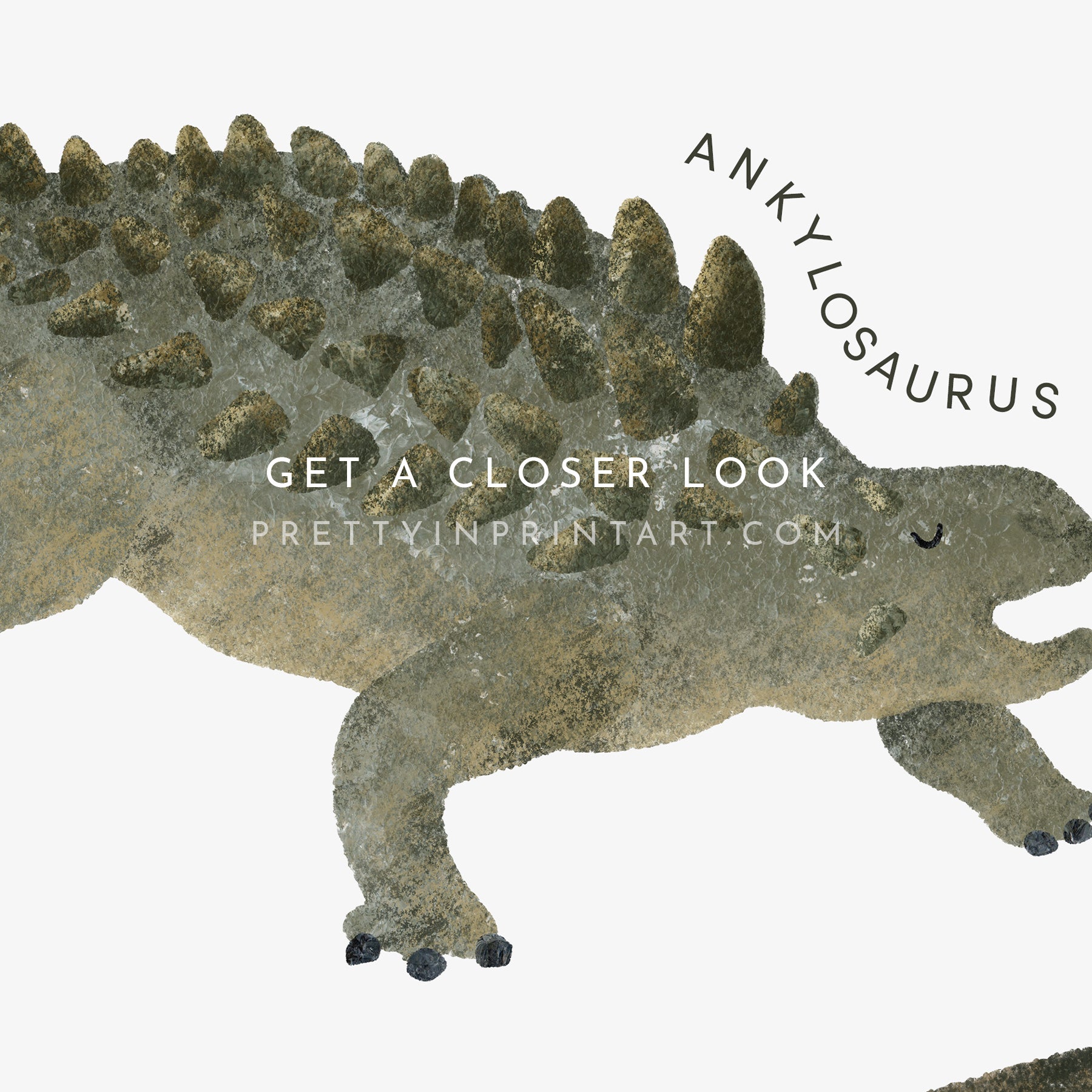 Dinosaur Educational Chart | Unframed