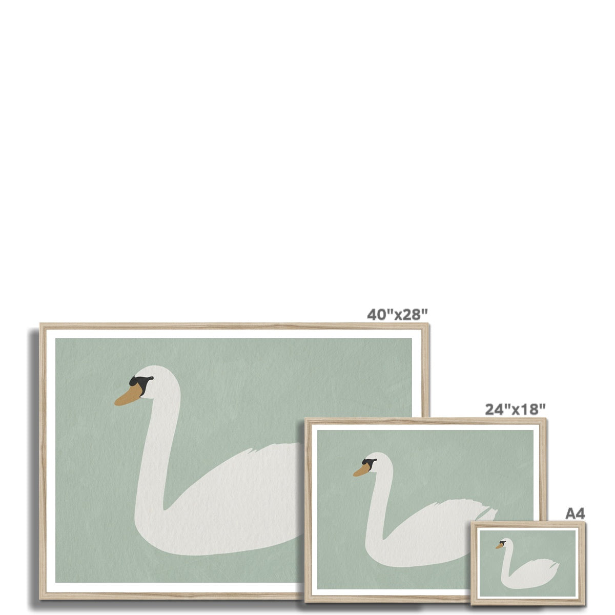 Swan Art - Terecas Green | Framed Print