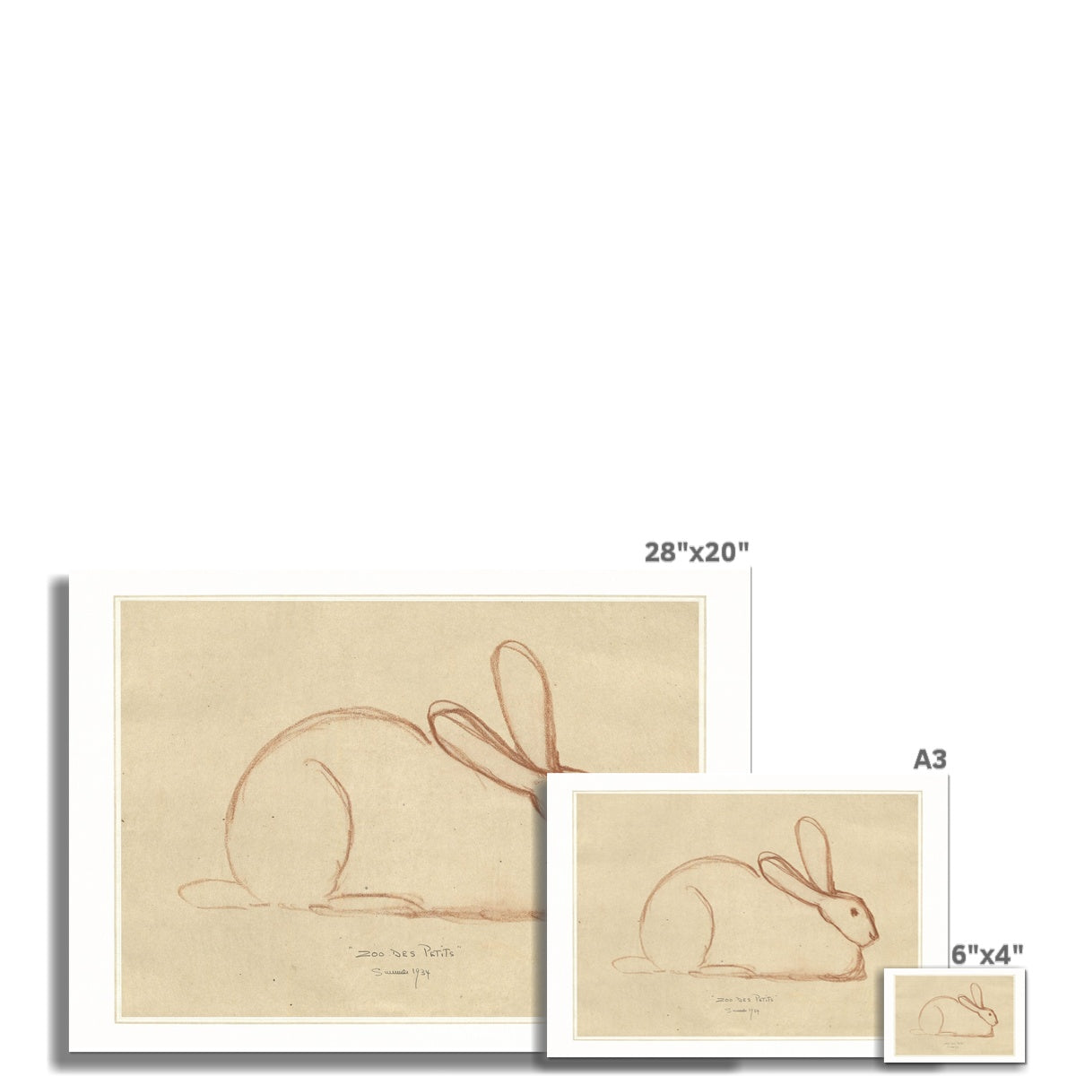 Bunny Rabbit Sketch, 00586 | Unframed