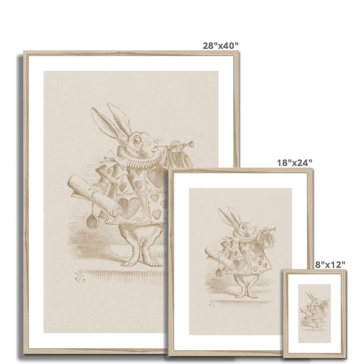 Alice's Adventures in Wonderland | Framed & Mounted Print