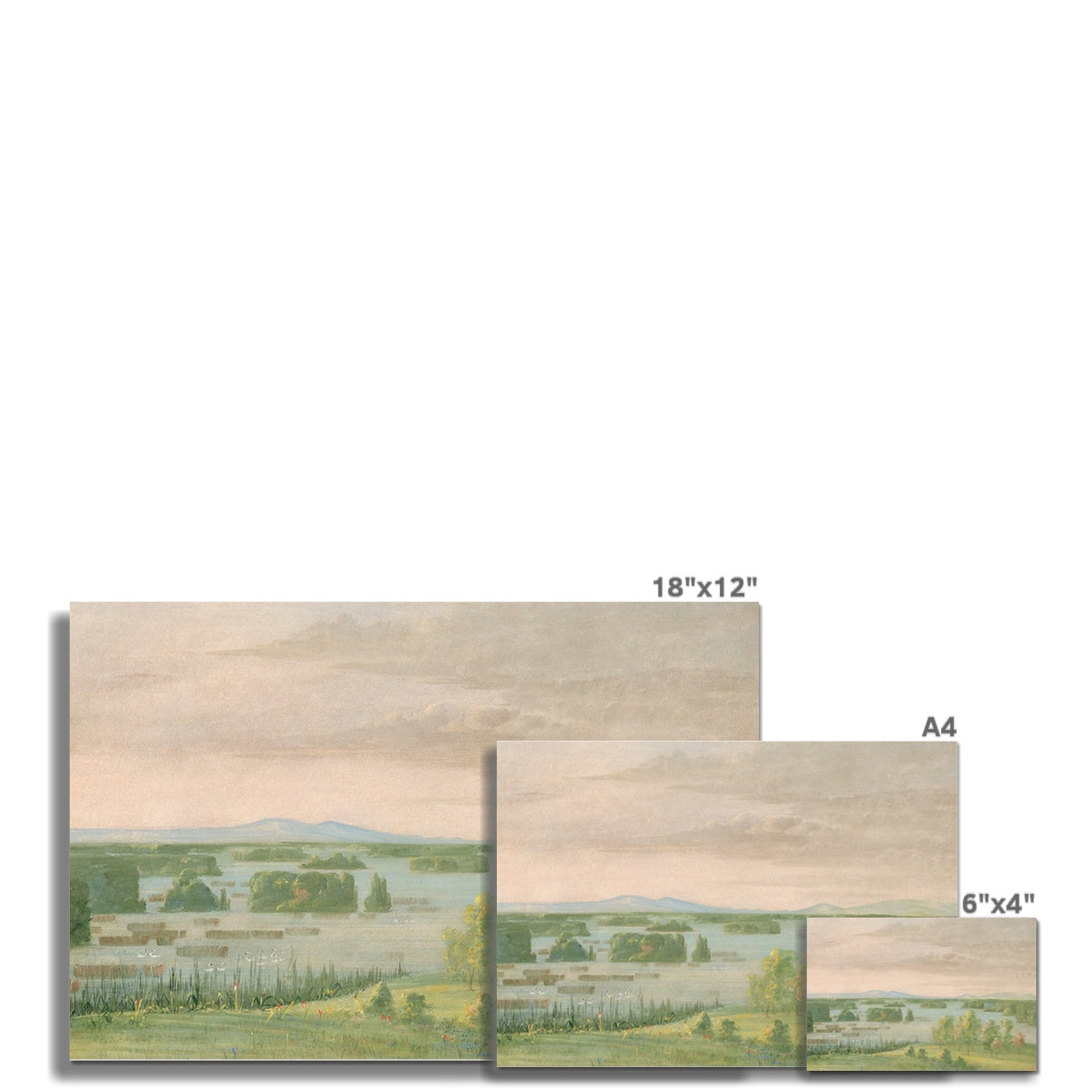 Landscape 00836 | Unframed