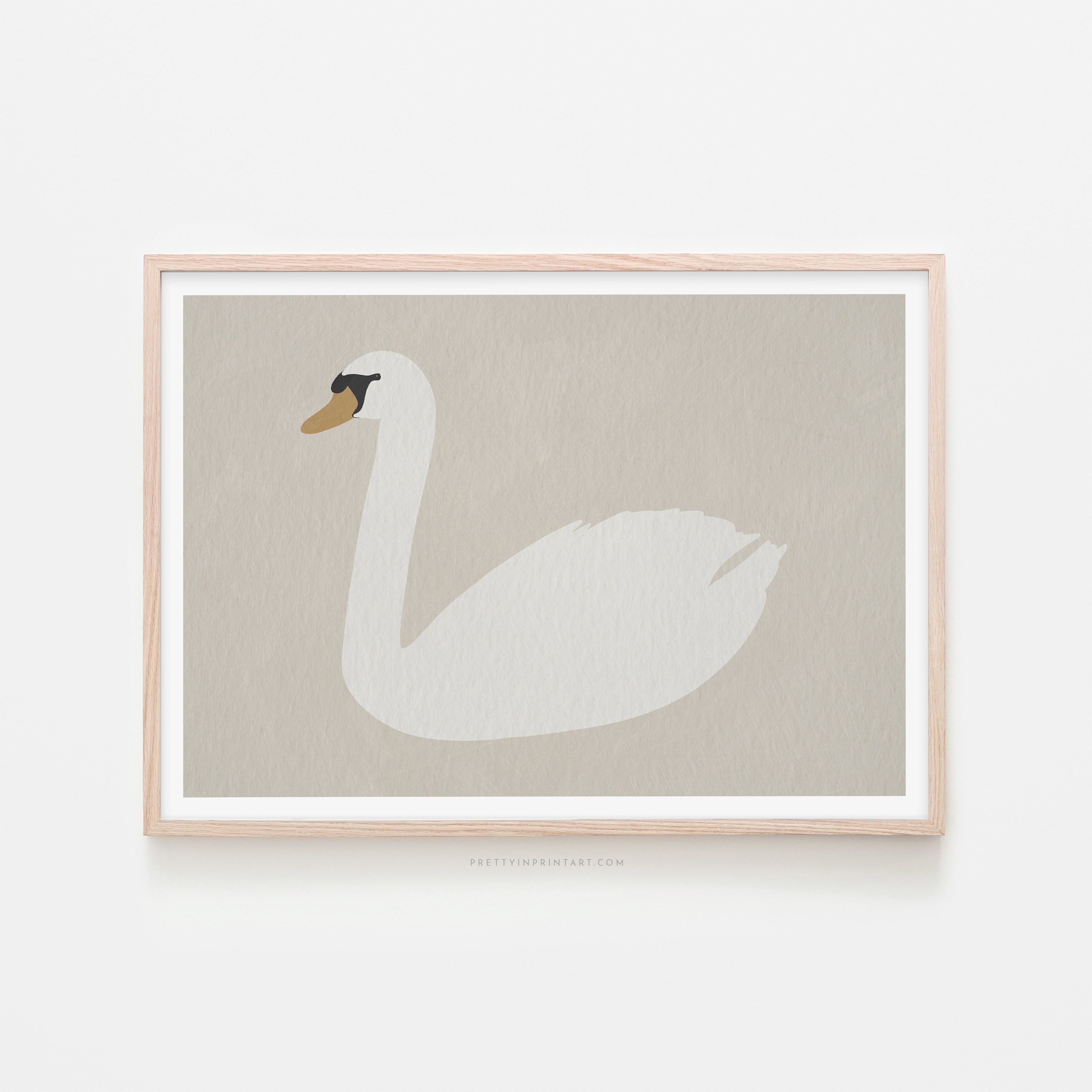 Swan Art - Ammonite | Framed Print