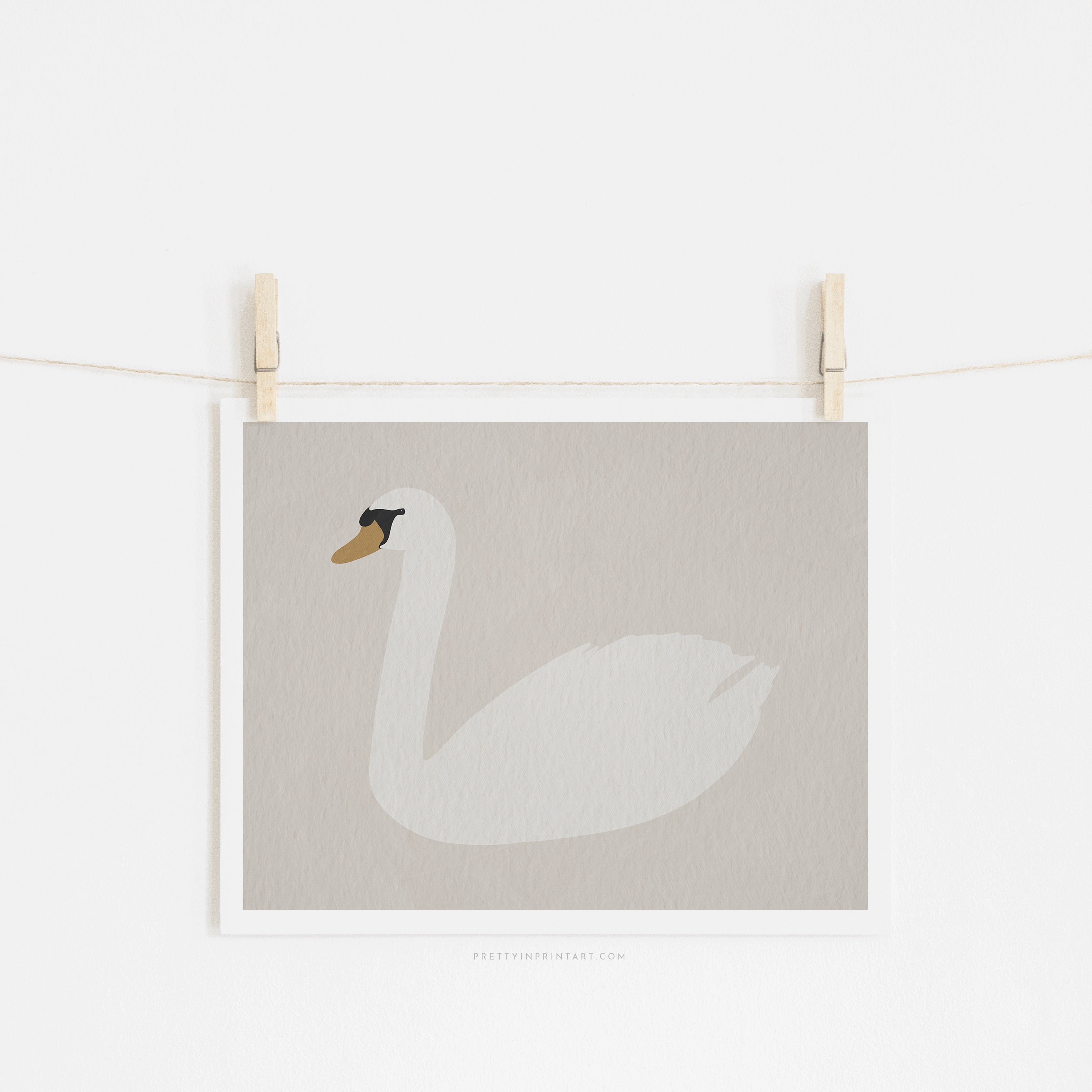 Swan Art - Strong White | Unframed