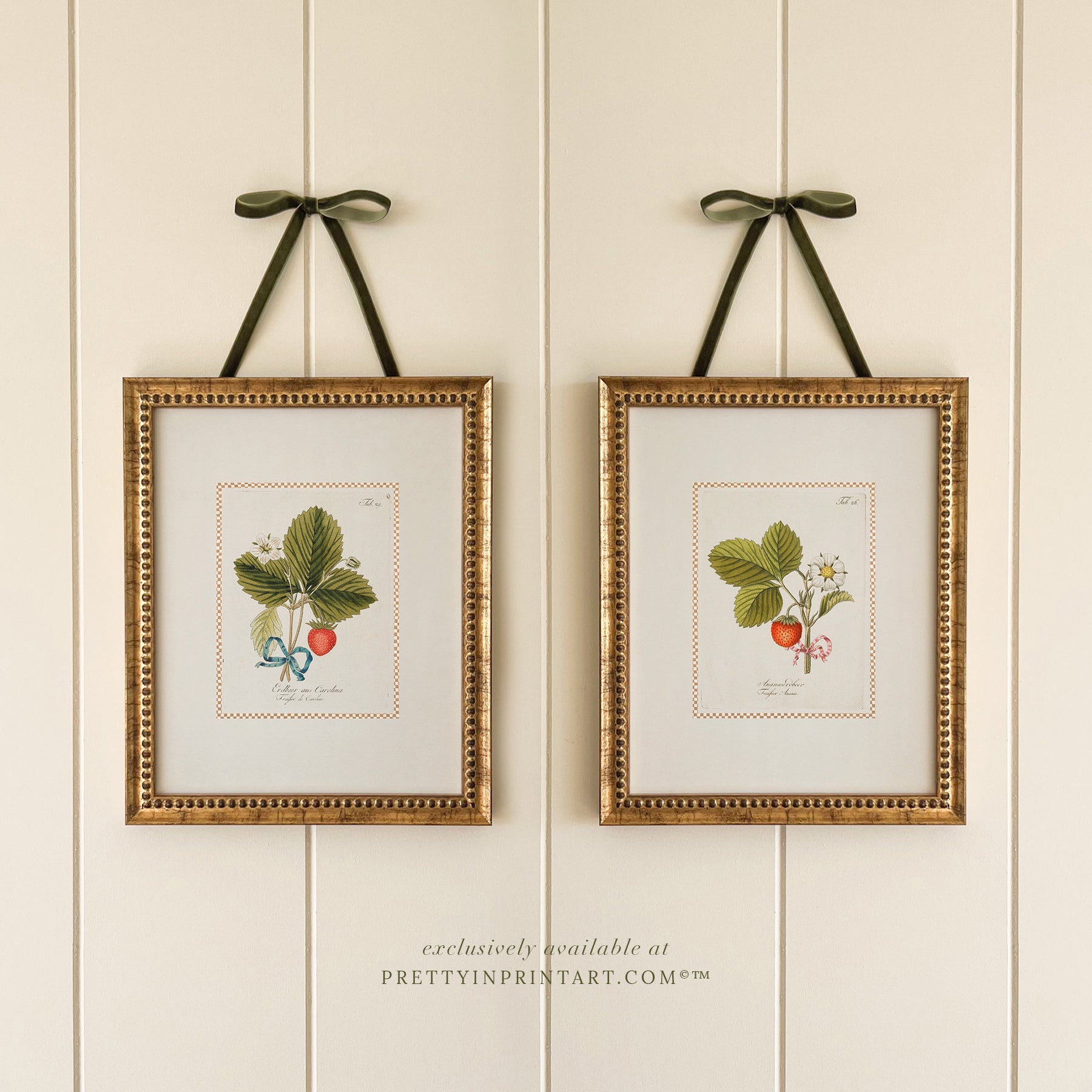 Framed Vintage Floral Art
