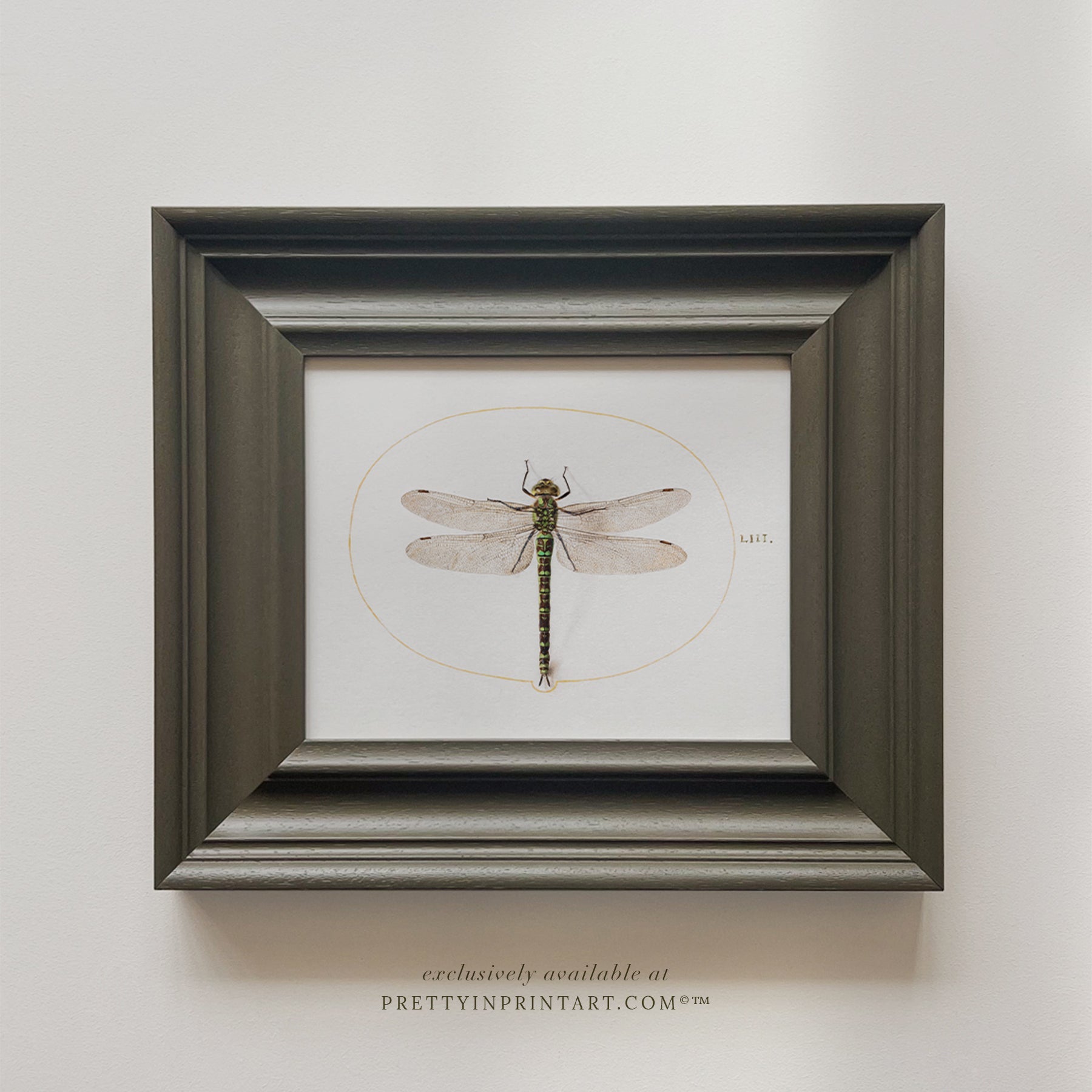 Framed Vintage Animal Art