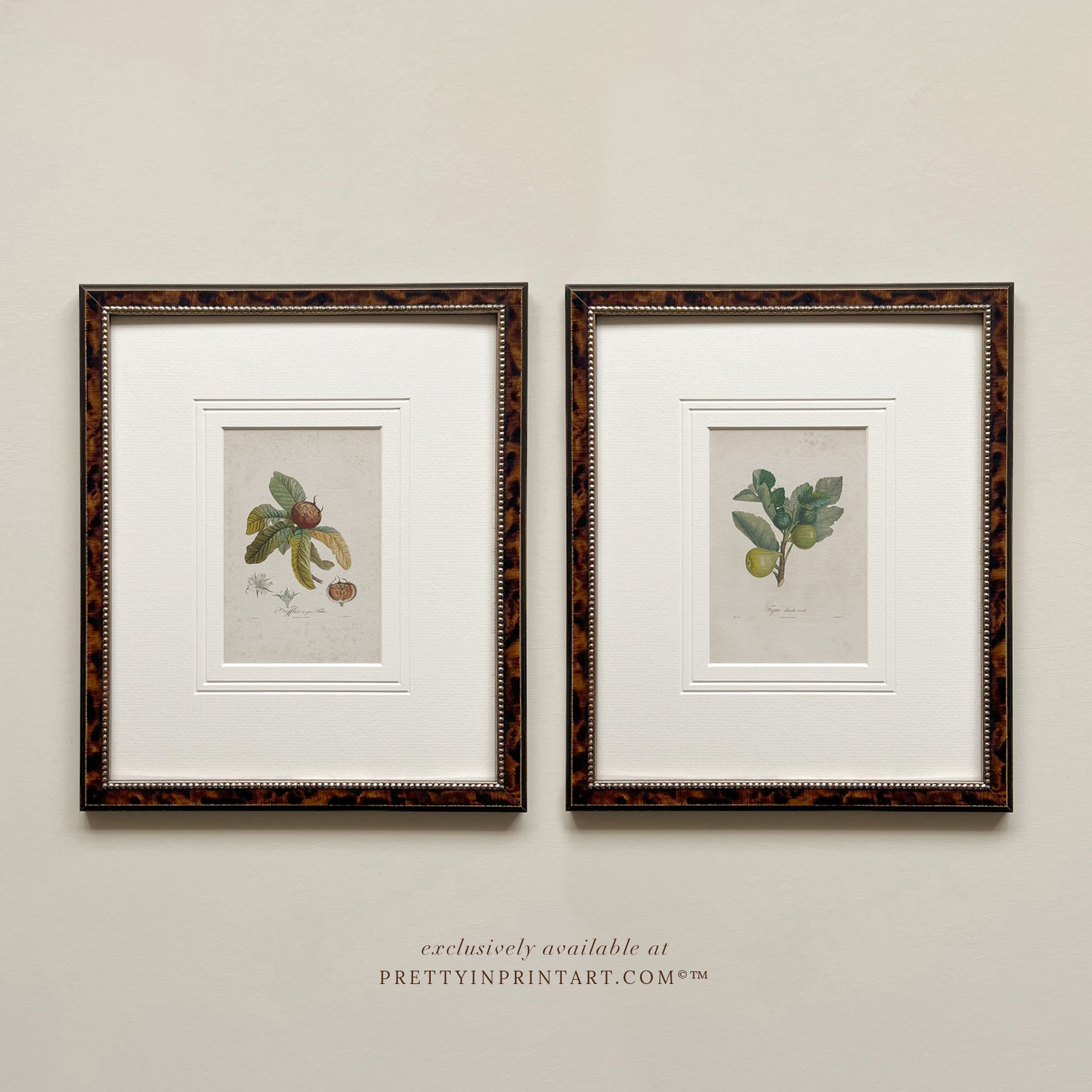 Custom Frame