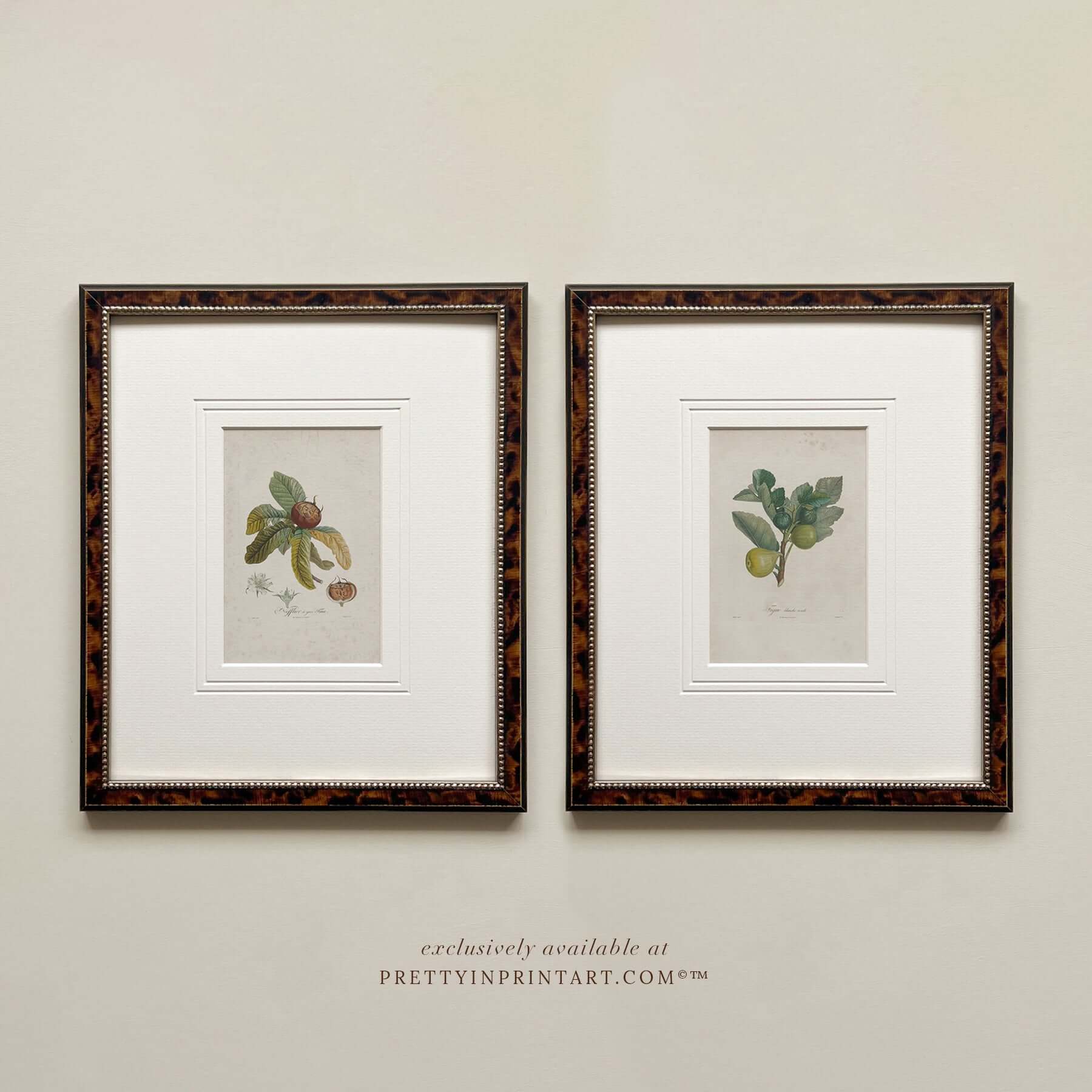 Framed Vintage Still Life Art