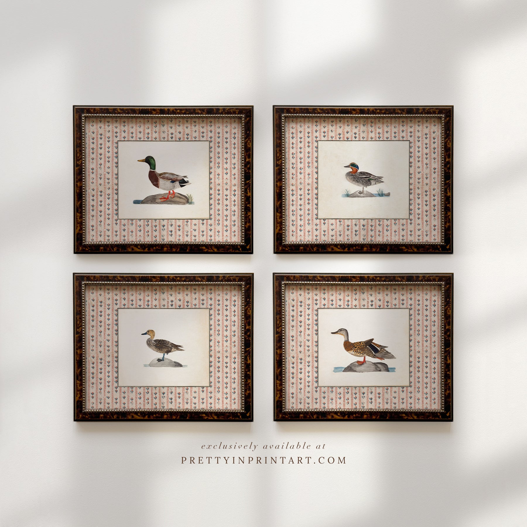 Ducks, Geese, Swans; Vintage Art