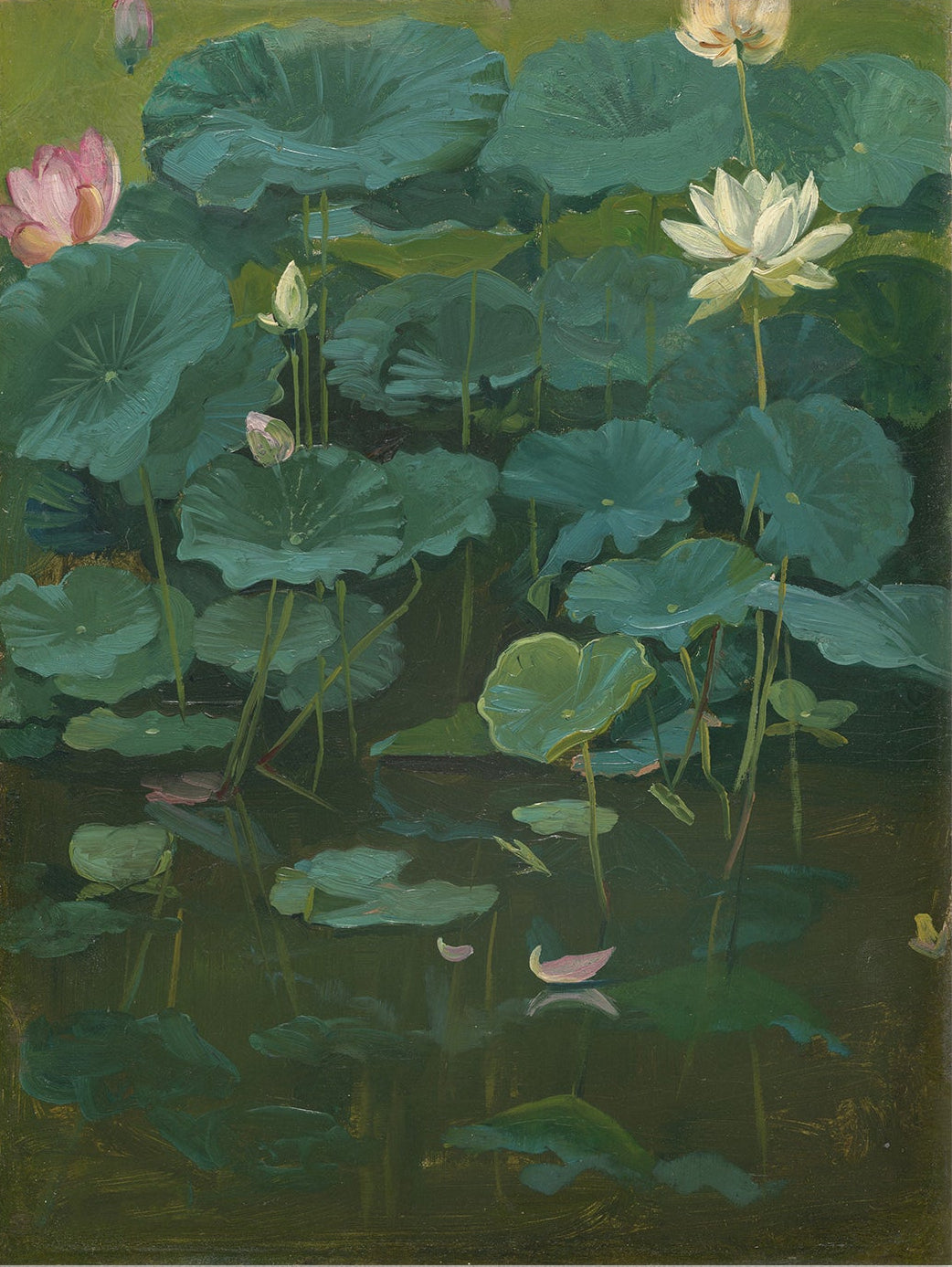 Lotus Flowers Still Life 00579 |  Unframed