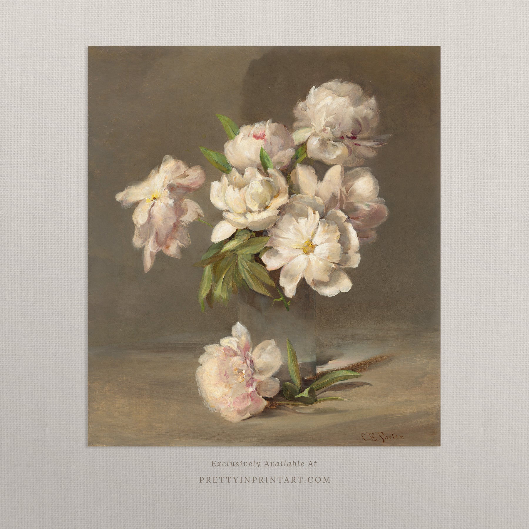 Pink Peonies Still Life 00591 |  Unframed