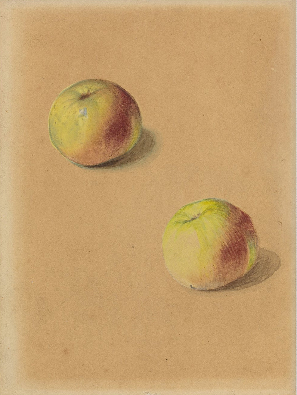 Apples Still Life 00906 |  Unframed