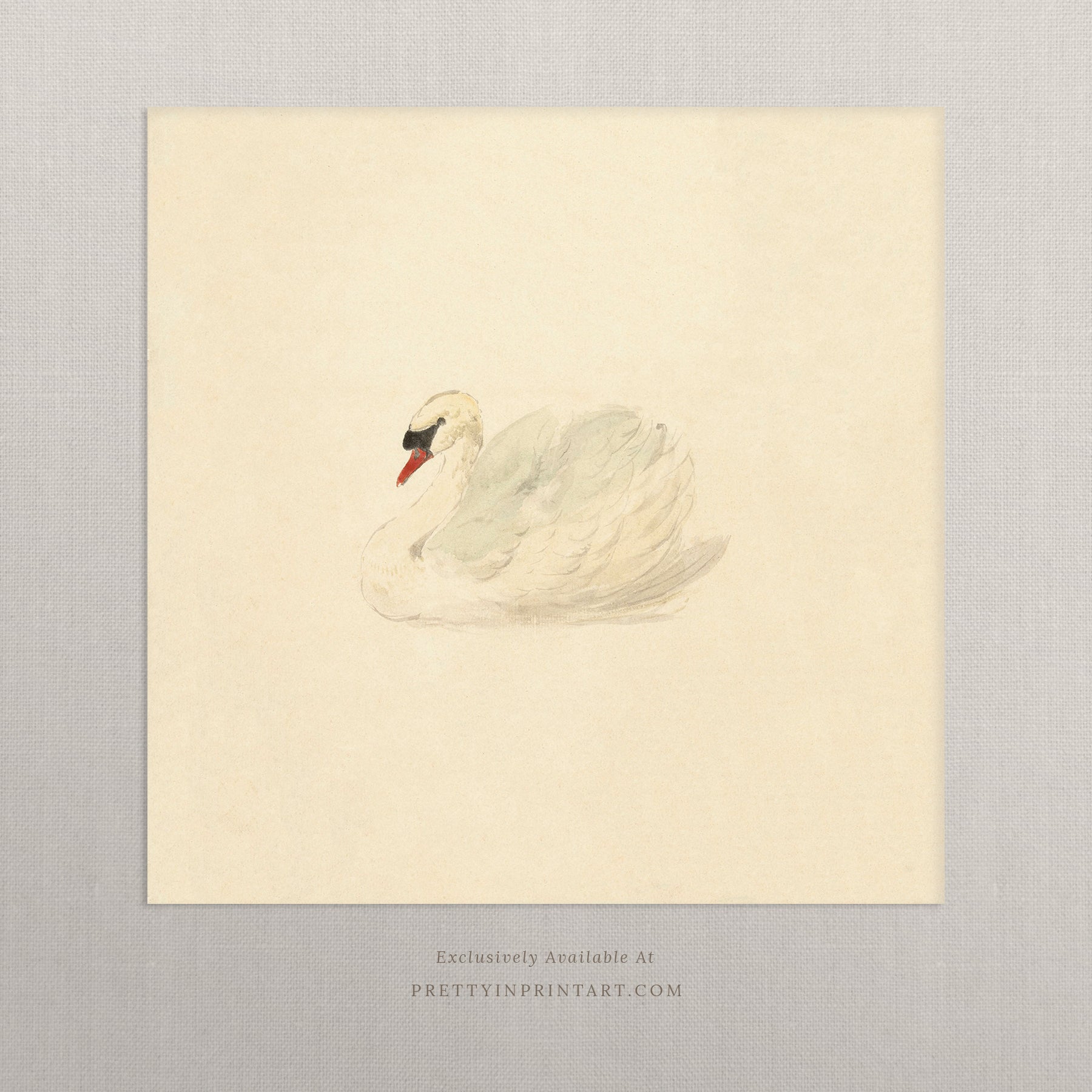 Vintage Swan Art 00510 |  Unframed
