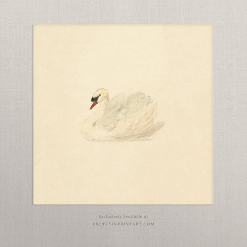 Vintage Swan Art Print – Solitary Swan Illustration, Nursery & Bedroom Wall Decor, Unframed