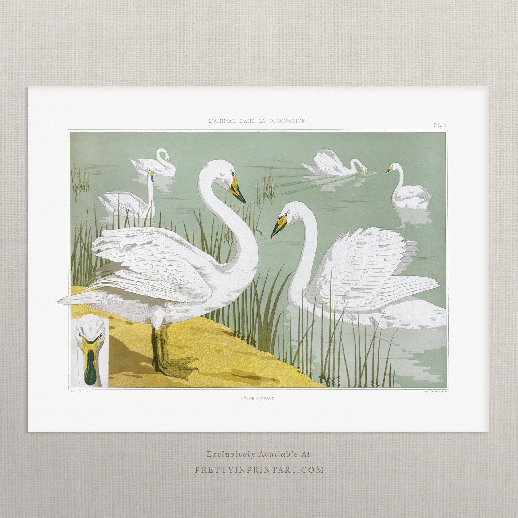 Vintage-style art prints featuring ducks, geese, swans, framed in classic gold or wood frames, perfect for traditional or country-themed vintage nursery, or any room in the home.