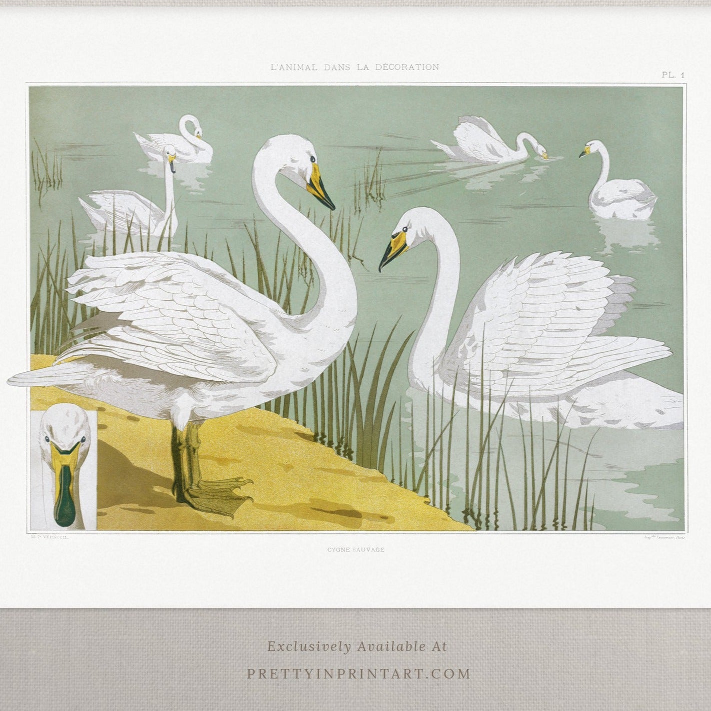 Vintage-style art prints featuring ducks, geese, swans, framed in classic gold or wood frames, perfect for traditional or country-themed vintage nursery, or any room in the home.