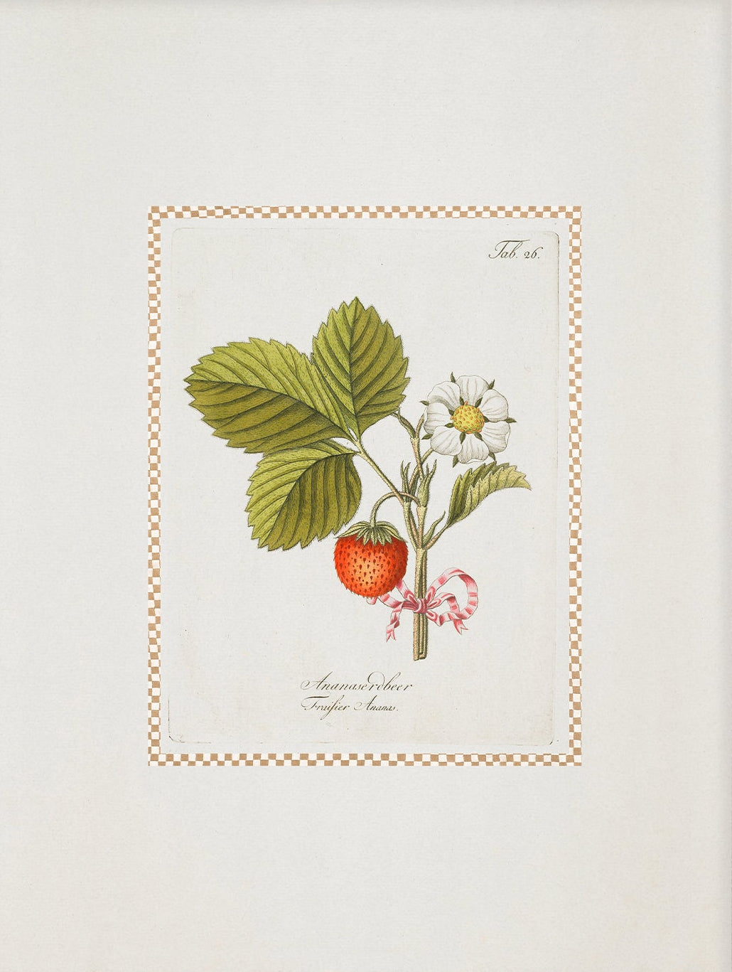 Vintage Art Print; Strawberry Plant 001 |  Unframed