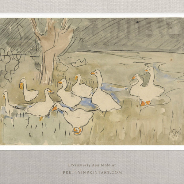 Vintage Duck Sketch Art 00549 |  Unframed