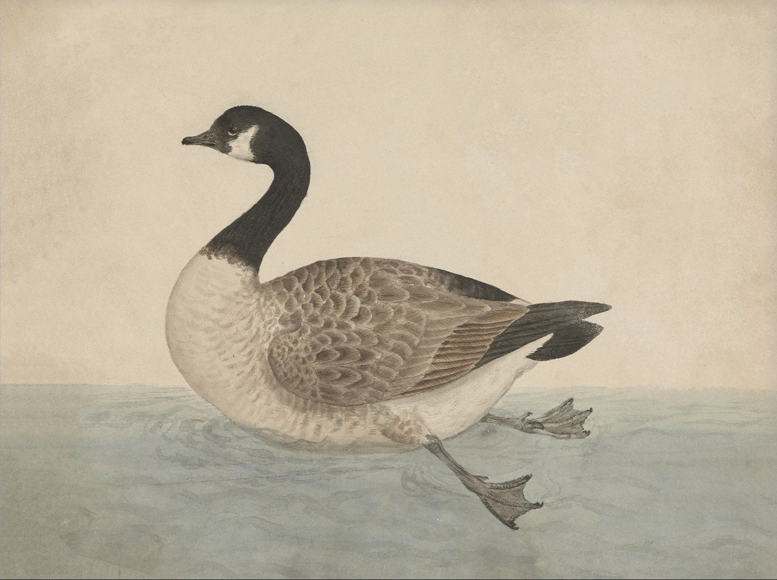 Vintage-style art prints featuring ducks, geese, swans, framed in classic gold or wood frames, perfect for traditional or country-themed vintage nursery, or any room in the home.