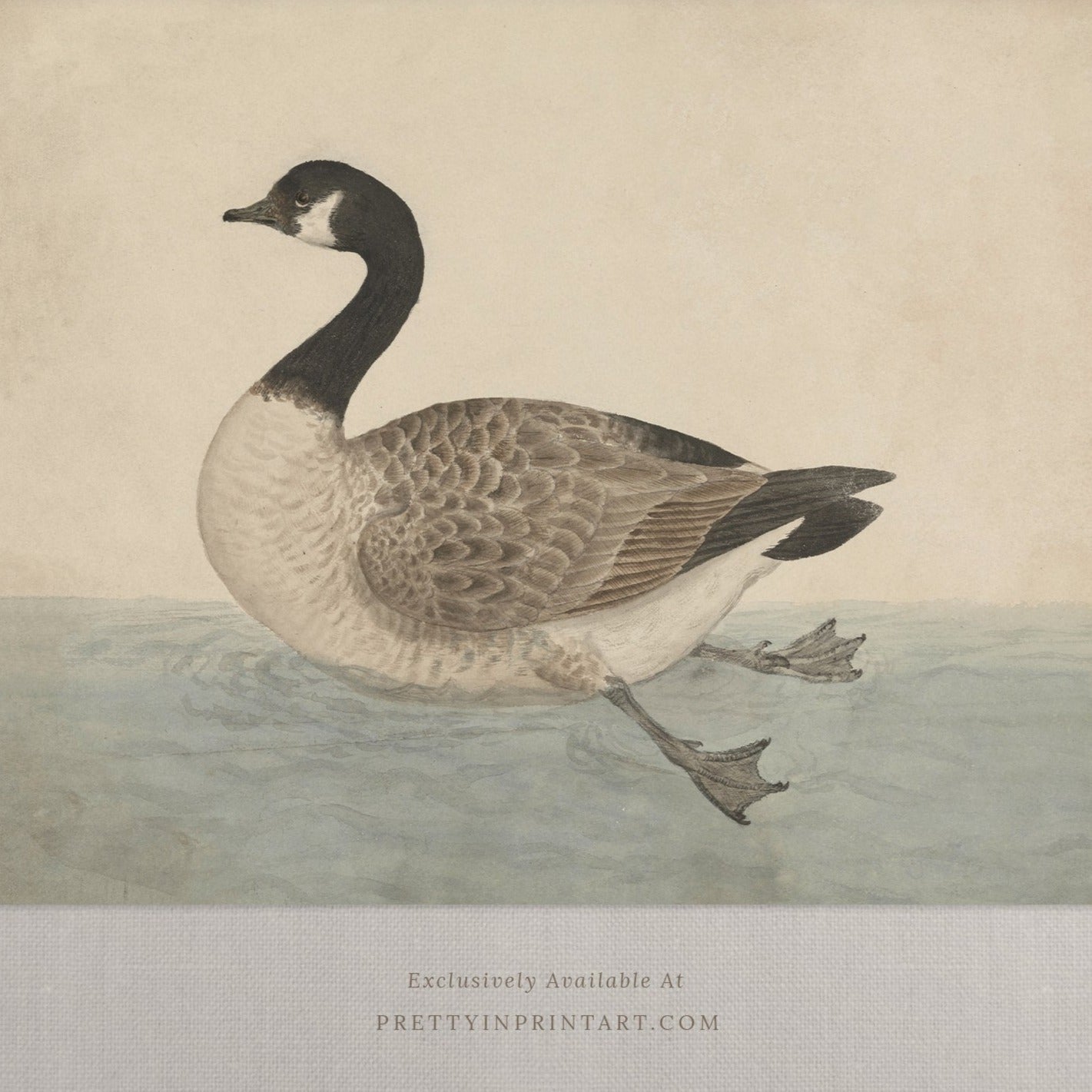 Vintage-style art prints featuring ducks, geese, swans, framed in classic gold or wood frames, perfect for traditional or country-themed vintage nursery, or any room in the home.