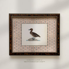 Vintage Duck Art 012 (BRN-TOR-2124)