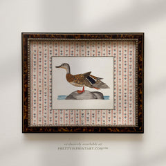 Vintage Duck Art 002 (BRN-TOR-2124)