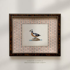 Vintage Duck Art 010 (BRN-TOR-2124)