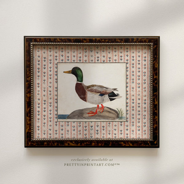 Set of Two Vintage Ducks, Framed 003 (BRN-TOR-2124)
