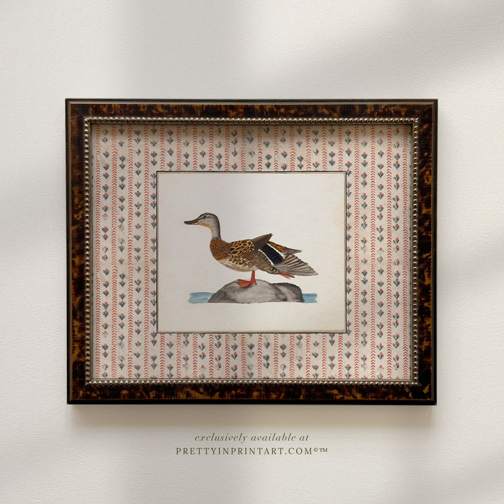 Set of Four Vintage Ducks, Framed 001 (BRN-TOR-2124)