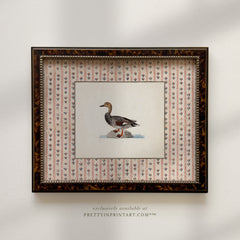 Vintage Duck Art 011 (BRN-TOR-2124)