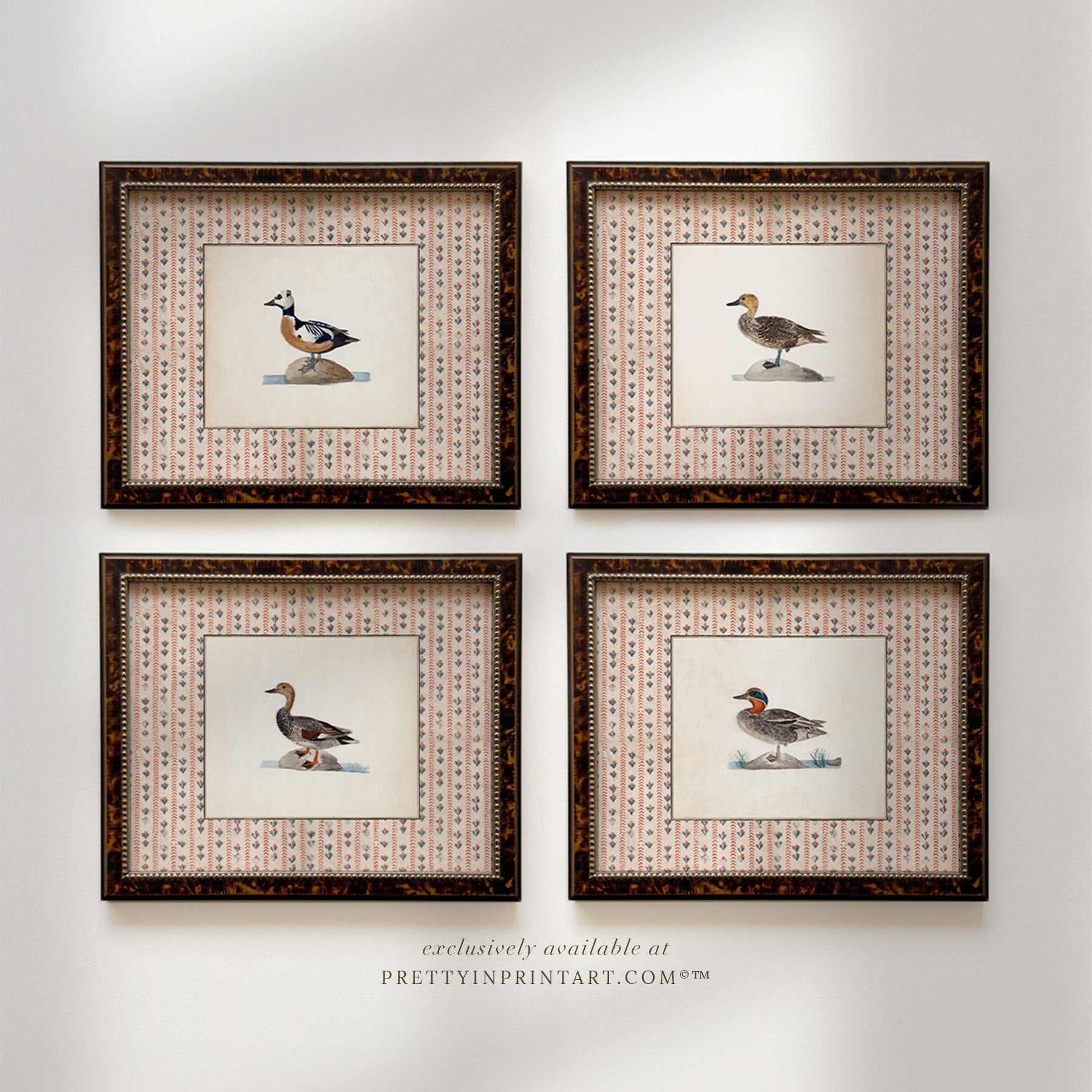 Vintage-style art prints featuring ducks, geese, swans, framed in classic gold or wood frames, perfect for traditional or country-themed vintage nursery, or any room in the home.