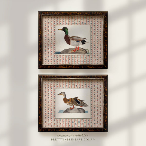 Vintage Duck Art Prints – Set of Two, Tortoiseshell Wood Frame, Farmhouse Kitchen Wall Decor (003, BRN-TOR-2124)