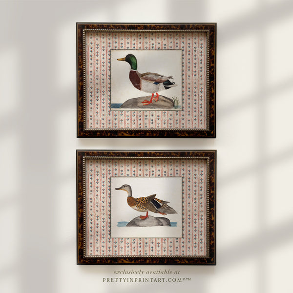 Set of Two Vintage Ducks, Framed 003 (BRN-TOR-2124)