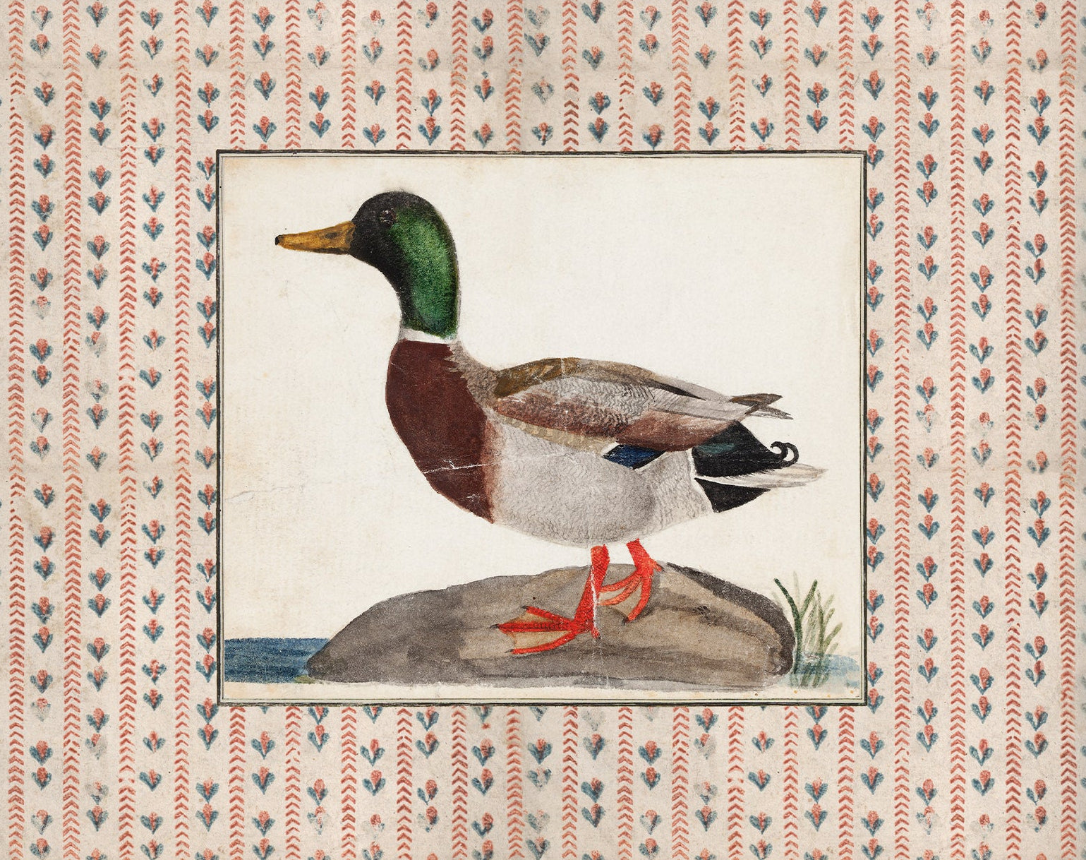 Vintage Duck Art 003 |  Unframed